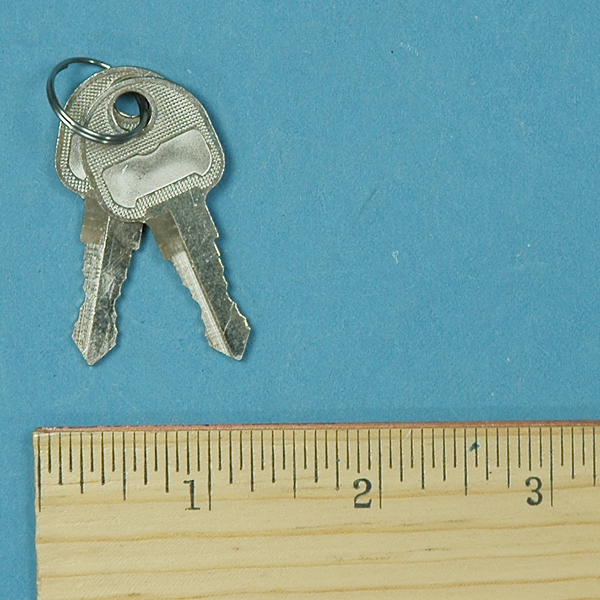 CRS / SAM4S Model 60 Locking Lid Replacement Keys