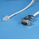 CAS SW-RS scale interface cable 522139